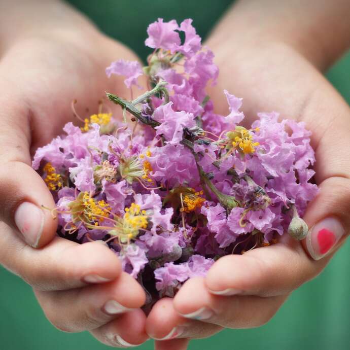 Découvrir l'aromathérapie - atelier enfant