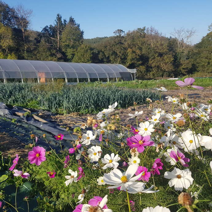 Les Jardins de la Ravie