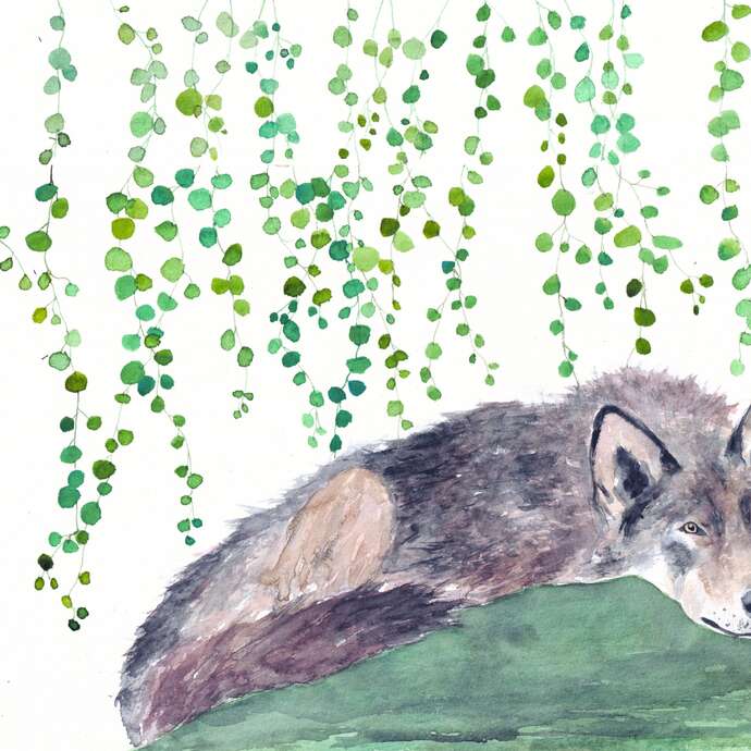 Exposition "Les animaux d'ici"