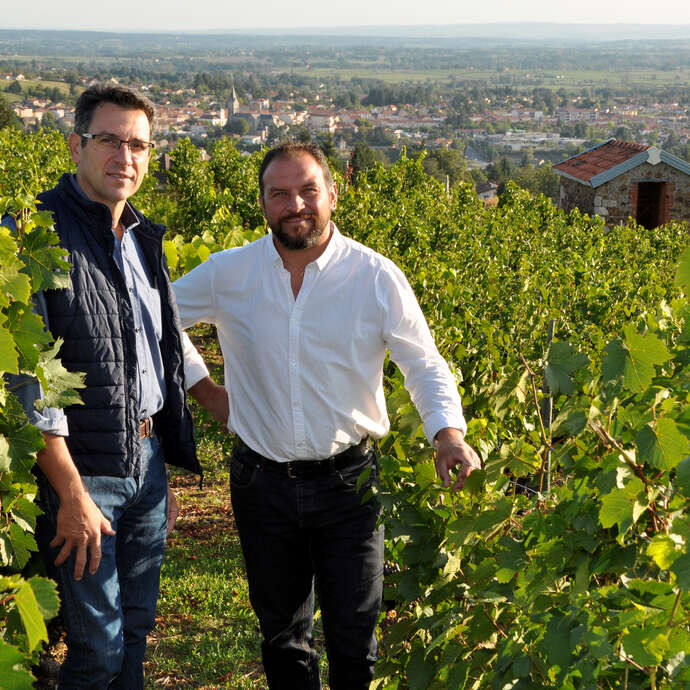 Domaine Désormière - Eric et Thierry Désormière