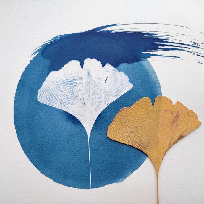 Atelier d'initiation au Cyanotype