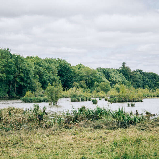 Marais de Montreuil-Juigné