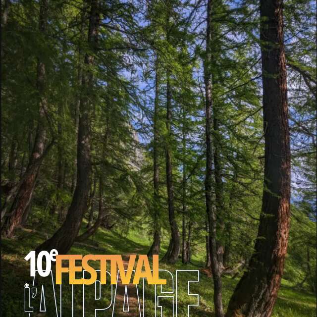 Festival de l'Alpage : Offrez vous un bain de forêt