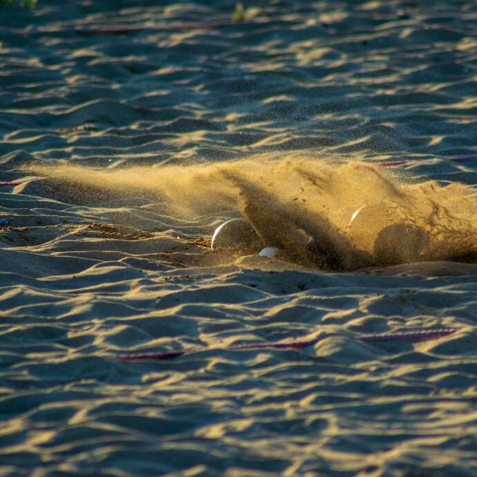 Tournoi - Étape de la ligue M1 de Sport-Boules