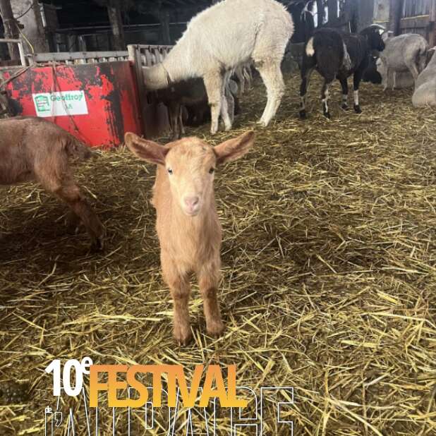 Festival de l'Alpage : Visite du GAEC du Caire