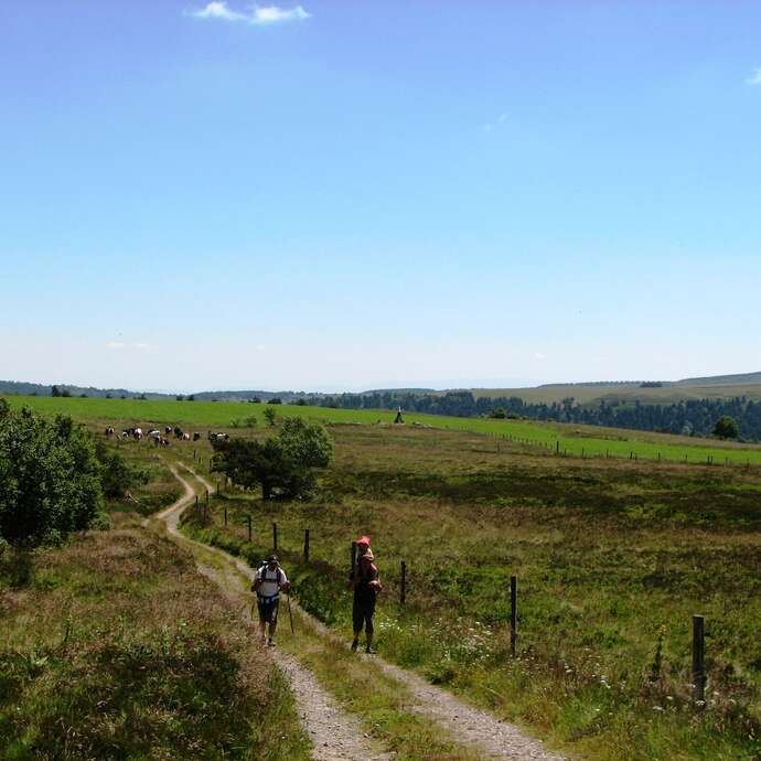 Réserve Naturelle Régionale des Jasseries de Colleigne