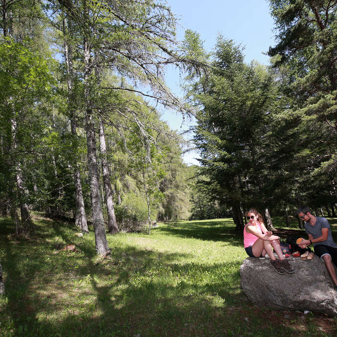 Aire de pique-nique de Notre-Dame de Bois vert