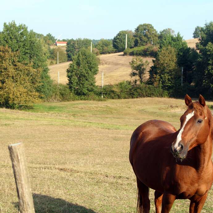 Sentier Les trois chapelles