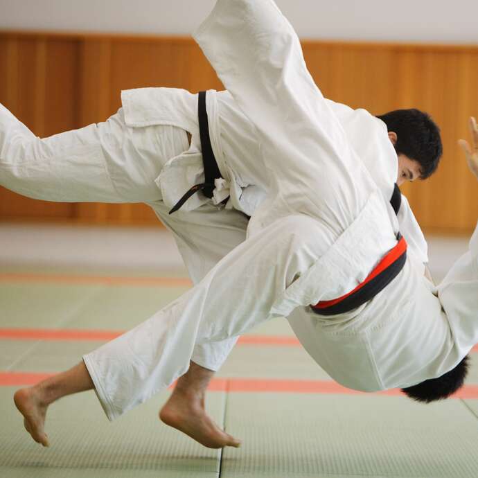 Tournoi annuel de Judo