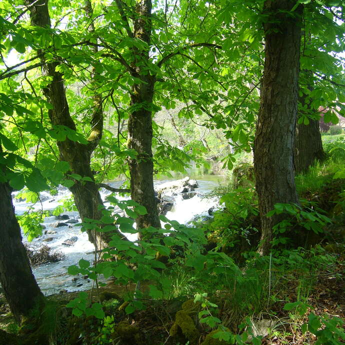 Les mines de Corent