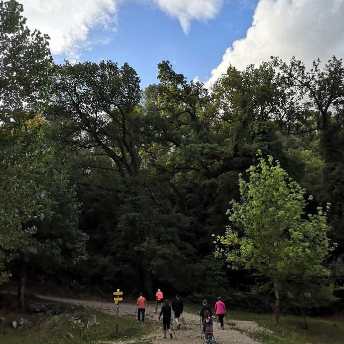 Initiation à la marche nordique - 1/2 journée