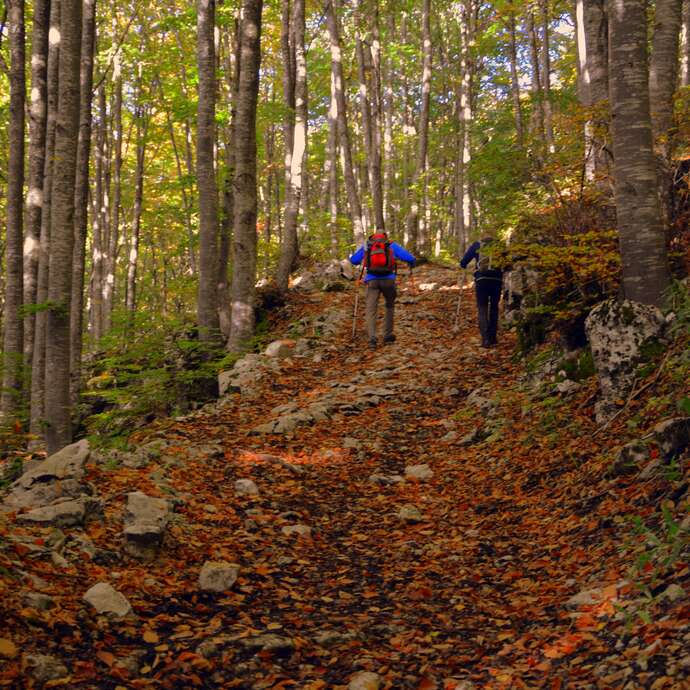 Randonnée pédestre