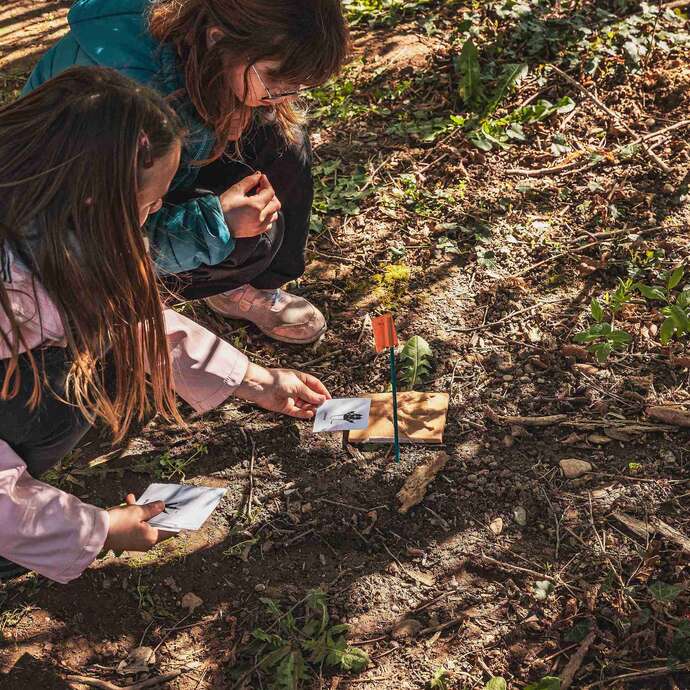 Gravière aux Oiseaux - Petits Trappeurs