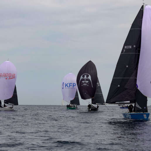 Coupe de l'Hippocampe 2025 - Régate