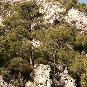 La Penne, au-dessus de la vallée de Huveaune