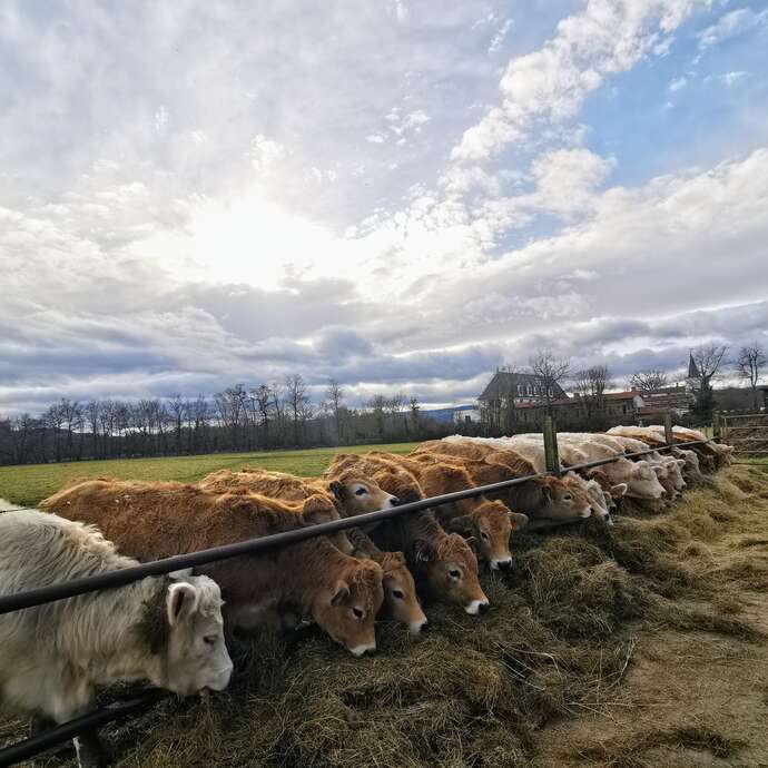 GAEC du Soleil Levant