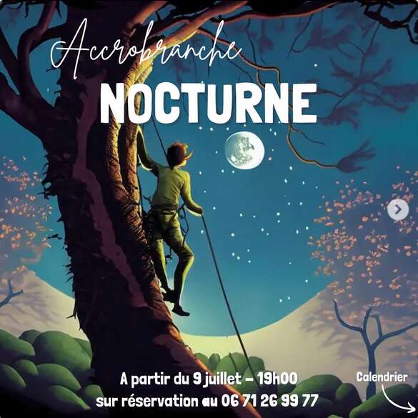 Nocturne à l'accrobranche