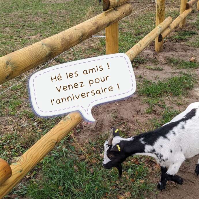 Anniversaire à la ferme - C'est ton anniversaire et tu adores les animaux ?