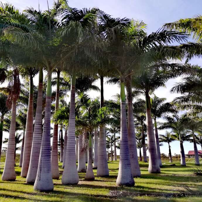 Le Jardin de l'avenir