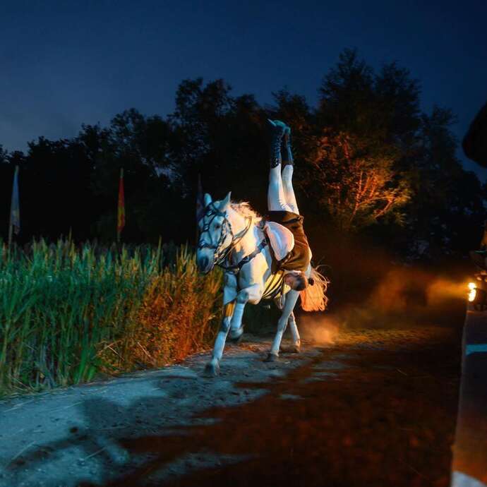 History - Spectacle nocturne