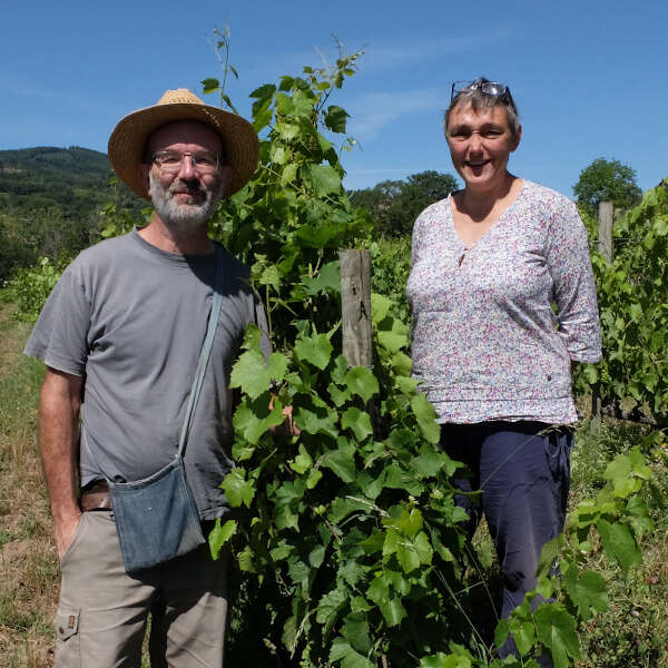 Les vins de la Chamaille