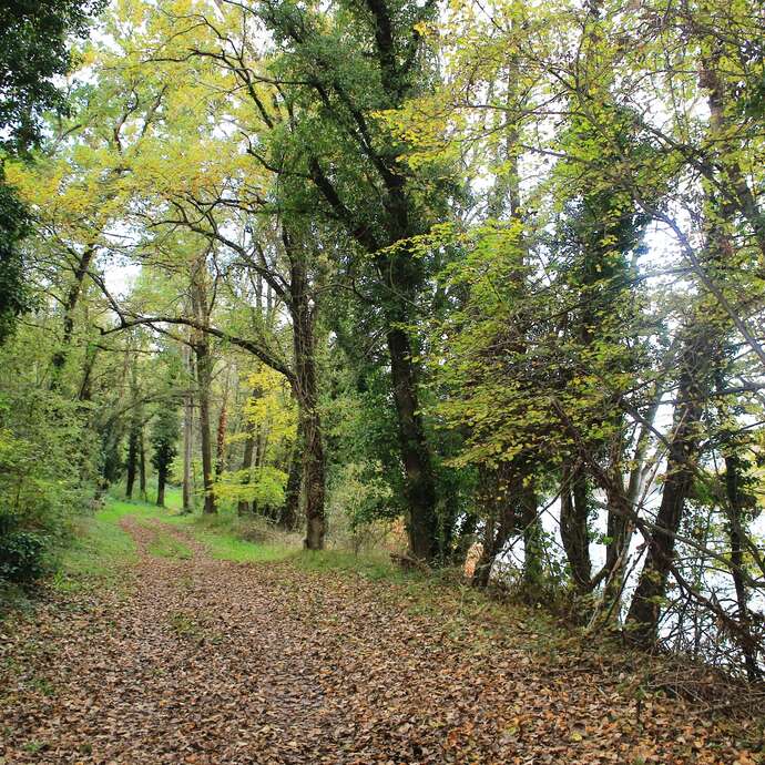 Craintilleux / Boisset-Les-Montrond - à la découverte des bords de Loire