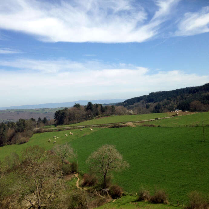 Autour de l'Imaginaire