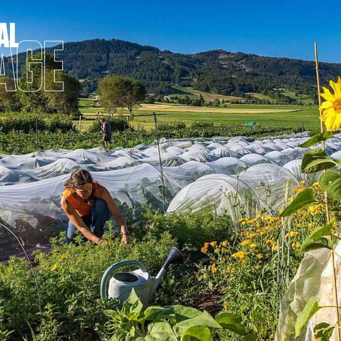 Festival de l'Alpage : Visite de la ferme LéguMontagne