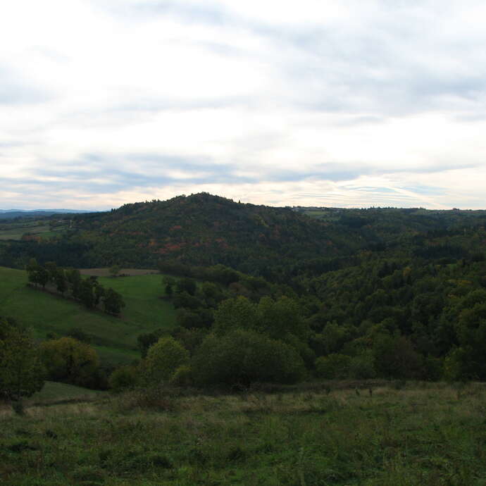 Panorama de Montarcher - 56 itinéraires VTT Loire
