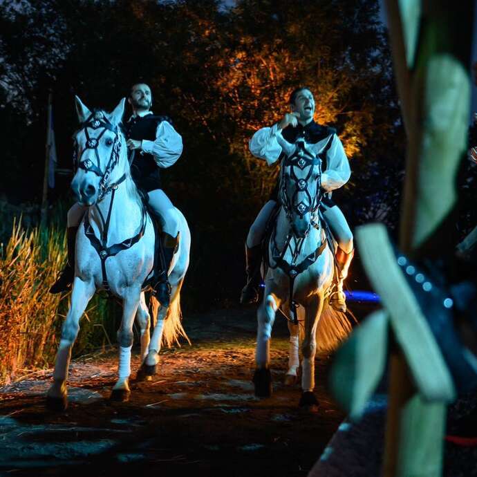 History - Spectacle nocturne