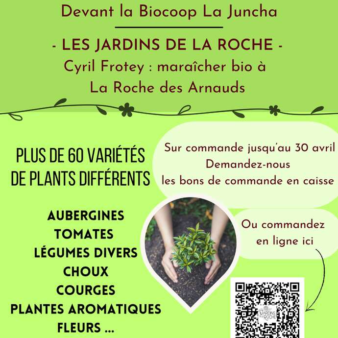 Vente de plants maraichers