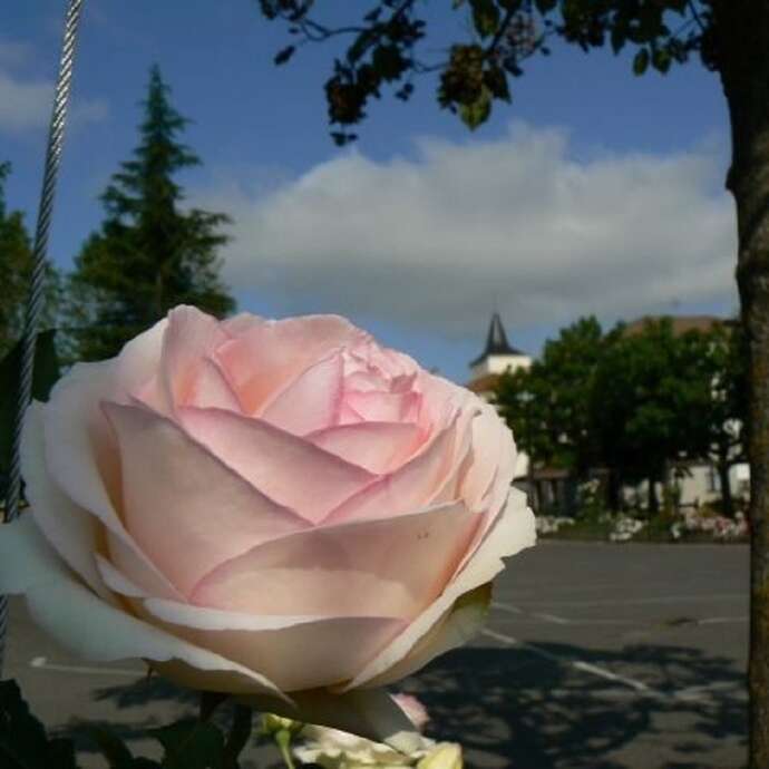 Visitez Chamboeuf / Village Jardin
