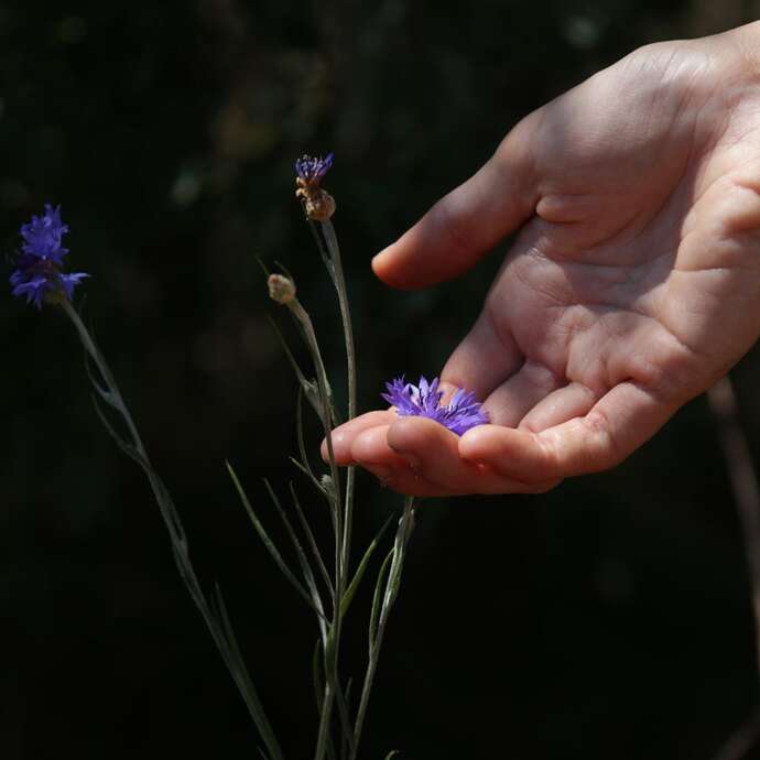 Secrets de sorcières