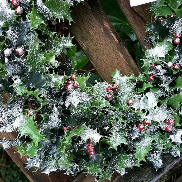 Création de décoration de Noël