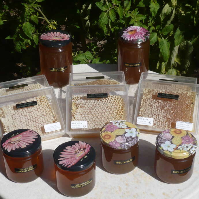 Vincent Avrillon - Apiculteur