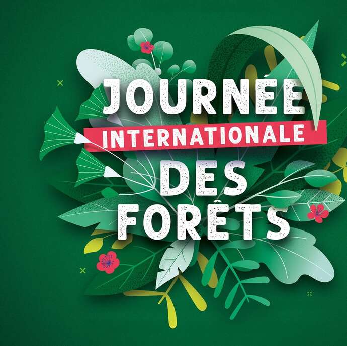 A l'écoute de la forêt - Journée internationale des forêts