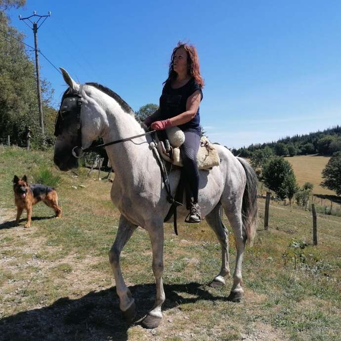 Les Chevaux de Saint-Sabin -  Balades équestres accompagnées