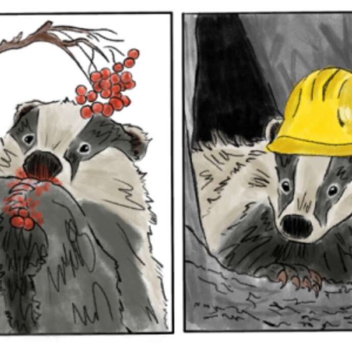 Animation nature - Vis ta meilleure vie de Blaireau