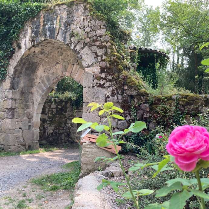 A la découverte du site médiéval de Donzy