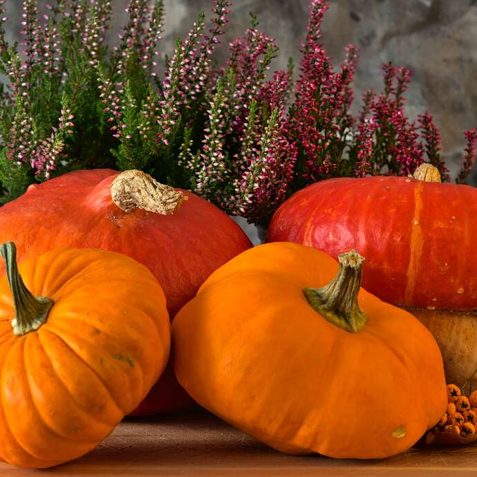 Stage d'art floral spécial Halloween