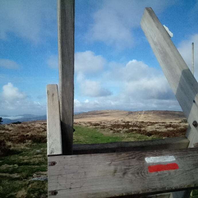 L'été est là - Randonnée naturaliste sur les Hautes-Chaumes