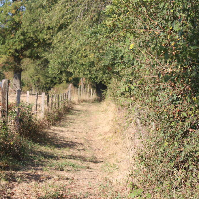 Sentier La campagne gildarienne