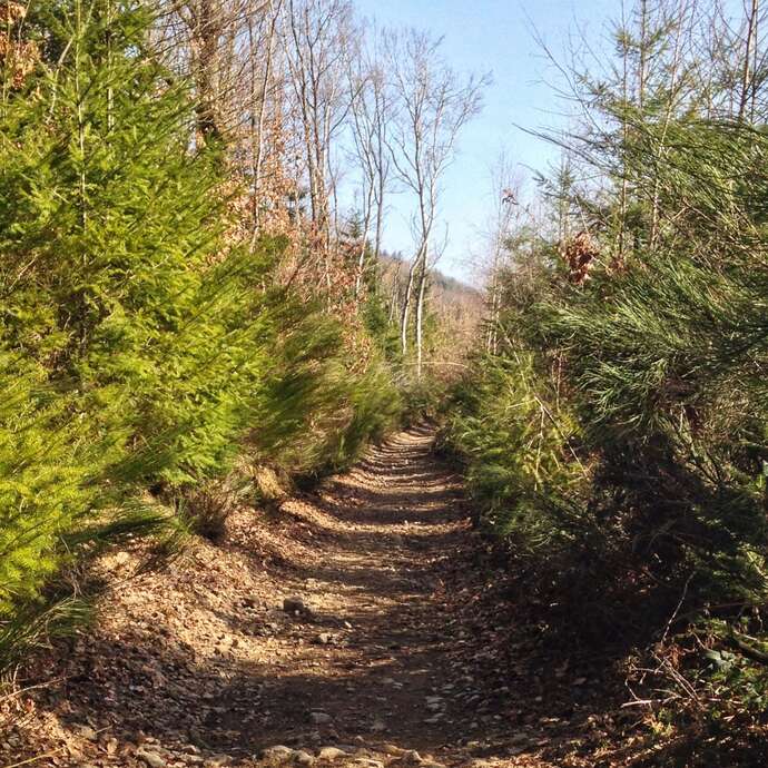 Sentier Le Panorama