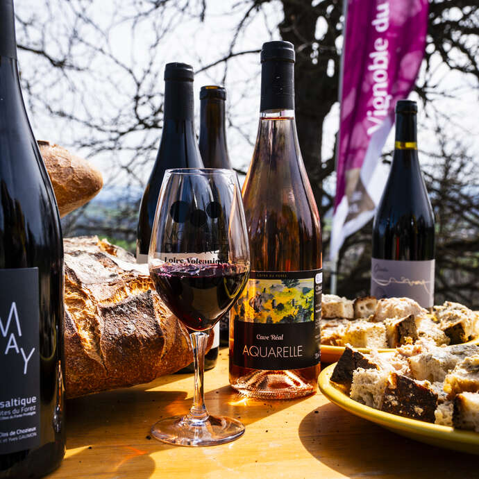 Dégustation de vins et planche apéro