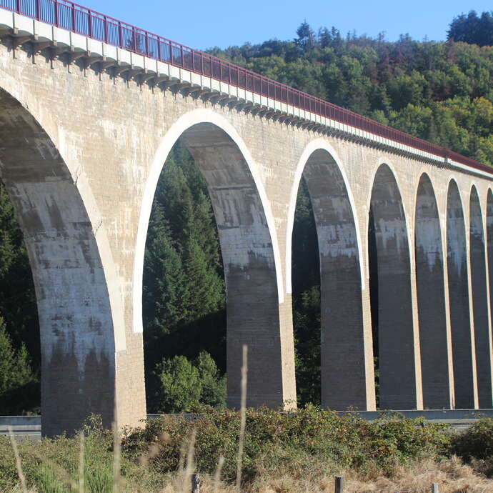 Sentier découverte du viaduc du pont marteau : les chauves-souris