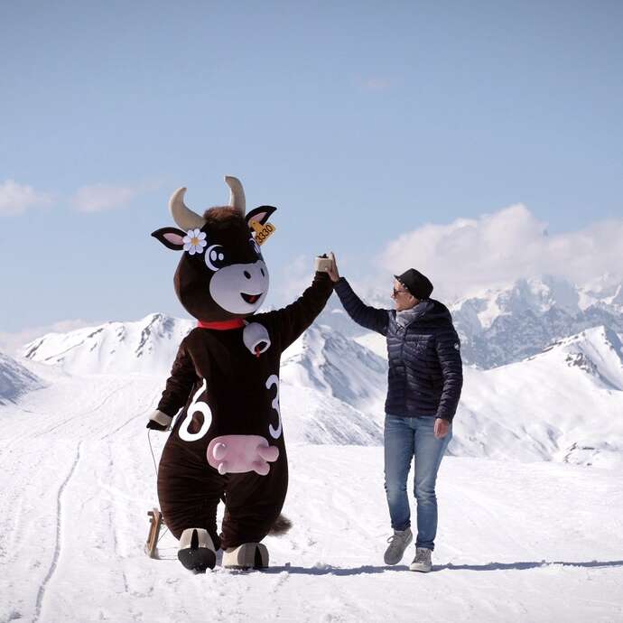 Rencontre avec Suzette la vachette
