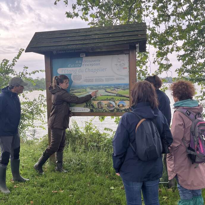 The Thousand and One Lives of the Dombes Ponds