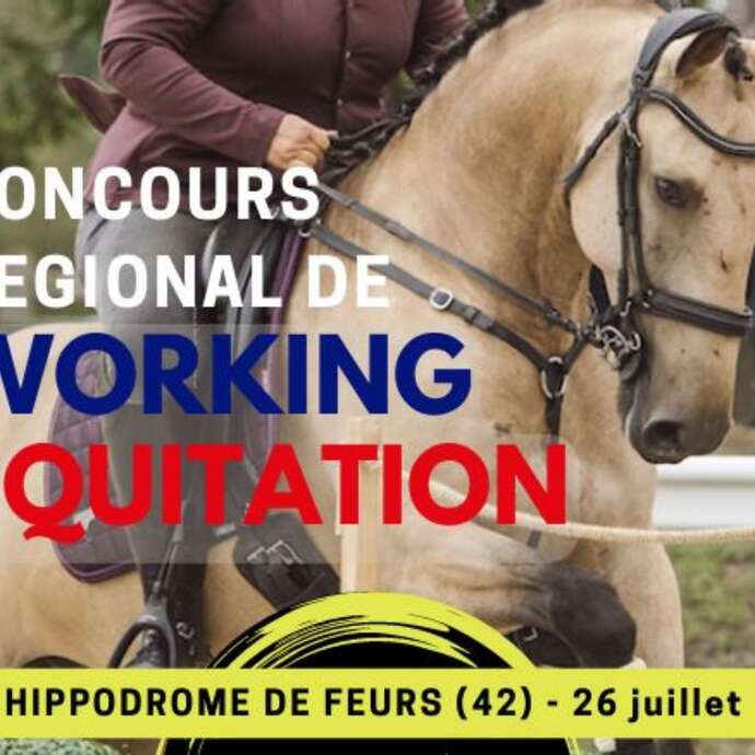 Concours équestre