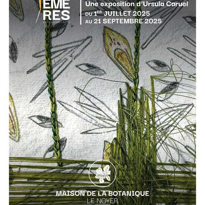 Les Éphémères : Virentia Fragilis