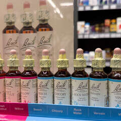 Initiez-vous aux fleurs de Bach